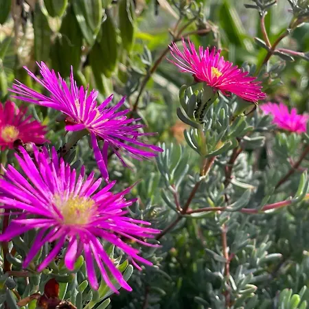 La Casa De Noelia Locanda