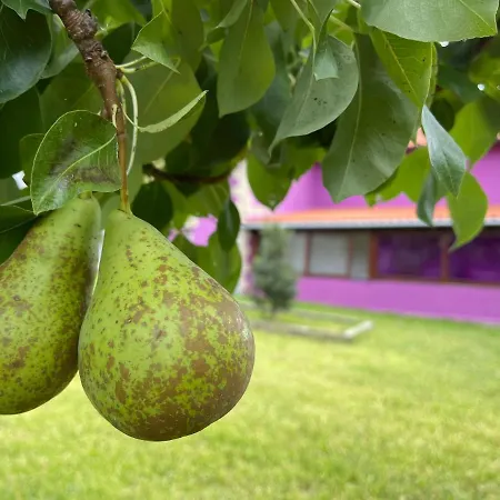La Casa De Noelia Hinojedo