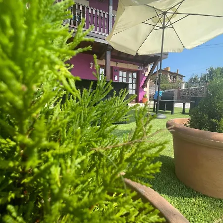 La Casa De Noelia Hinojedo