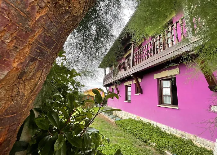 La Casa De Noelia Hinojedo