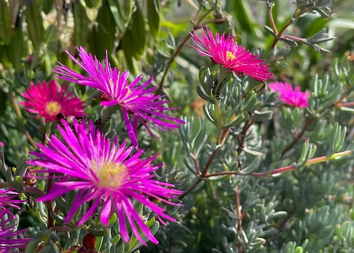 La Casa De Noelia Värdshus