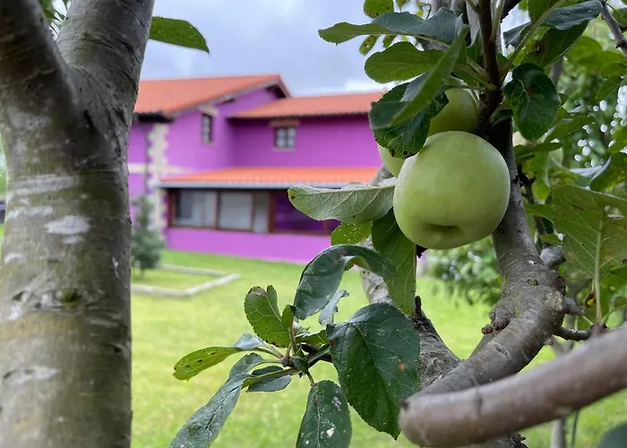 La Casa De Noelia 2*