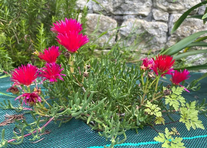 Πανδοχείο La Casa De Noelia