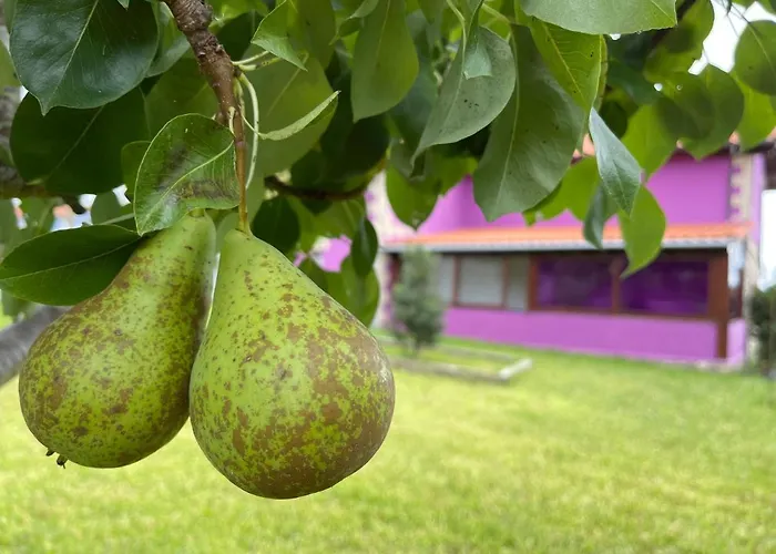 La Casa De Noelia Hinojedo
