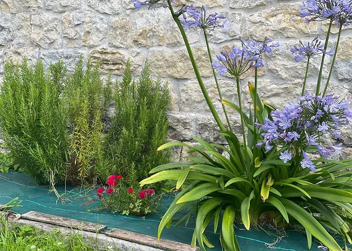 La Casa De Noelia Hinojedo